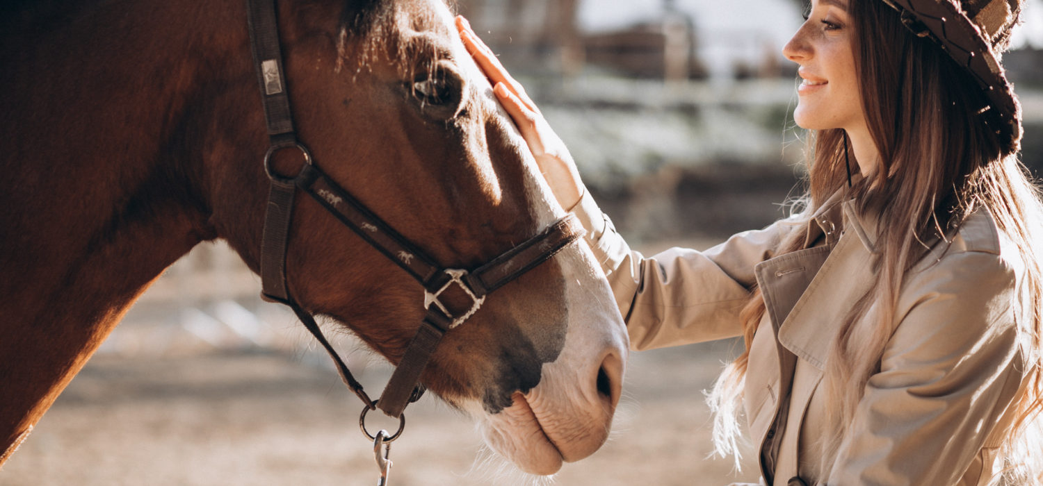 Na co powinien zwrócić uwagę każdy posiadacz konia?