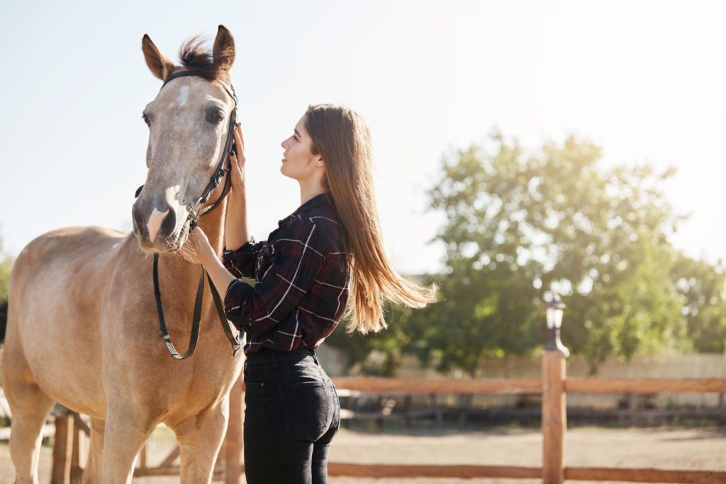Polisy ubezpieczeniowe dla koni mogą się różnić w zależności od zakresu ochrony