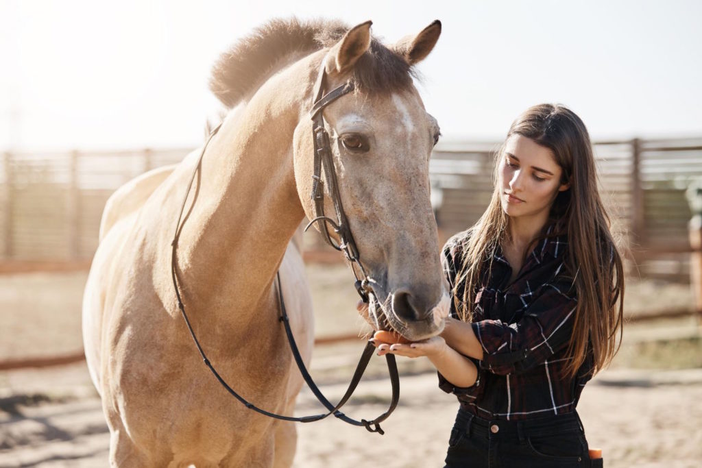 Polisy ubezpieczeniowe dla koni mogą się różnić w zależności od zakresu ochrony