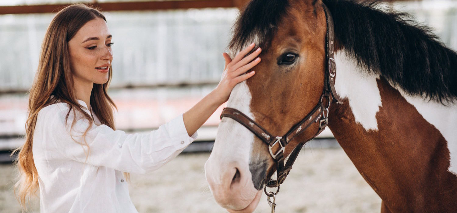 Bezpieczne kroki: Ubezpieczenie koni – ochrona i spokój dla właścicieli