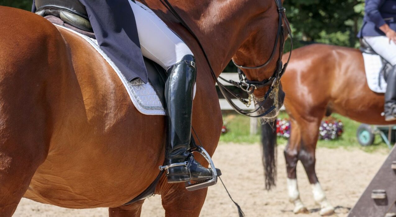 Bezpieczny Koń, Spokojny Właściciel: Dlaczego Ubezpieczenie Koni to Kluczowy Element Hodowli?
