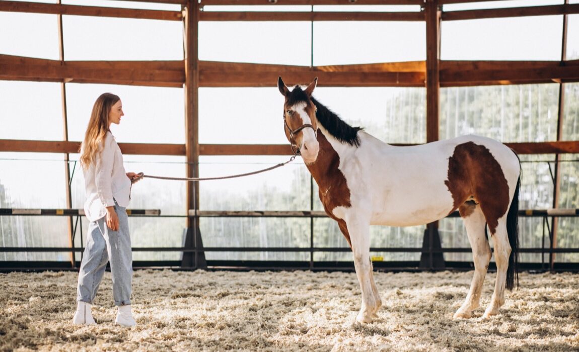 Zakres i korzyści z ubezpieczenia koni: kompleksowy przewodnik
