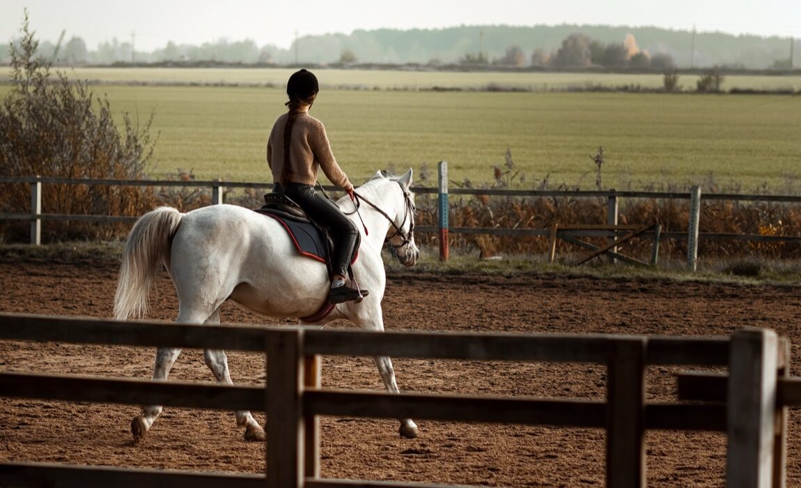Ochrona zdrowia i życia koni – jak wybrać odpowiednie ubezpieczenie?